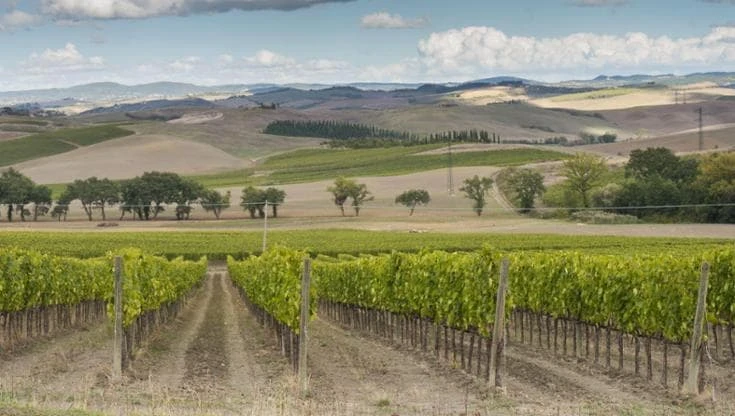 Montalcino, il Premio Casato Prime Donne a Darya Majidi, esperta di intelligenza artificiale