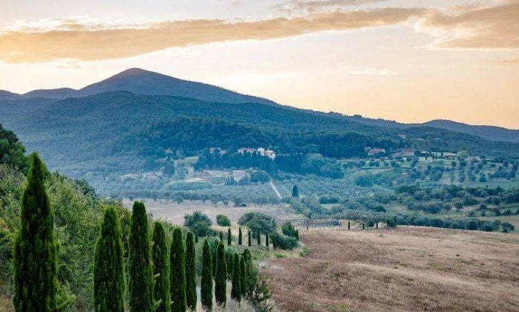 La magnificenza di una tenuta centenaria, tra grandi vini ed enoturismo