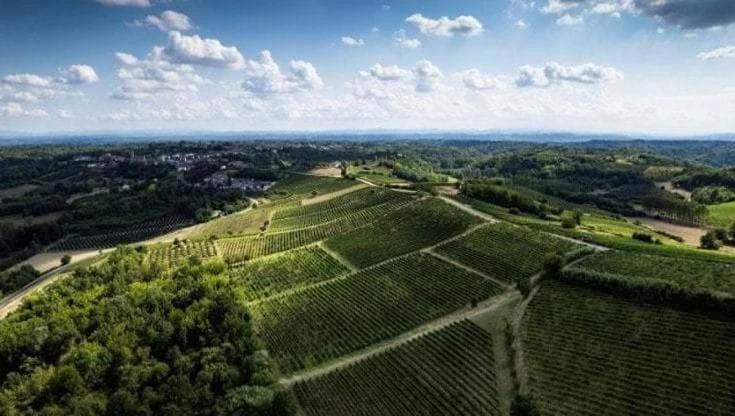 “Quell’impianto fotovoltaico è follia, deturpa il paesaggio del Ruchè in Monferrato: va fermato”