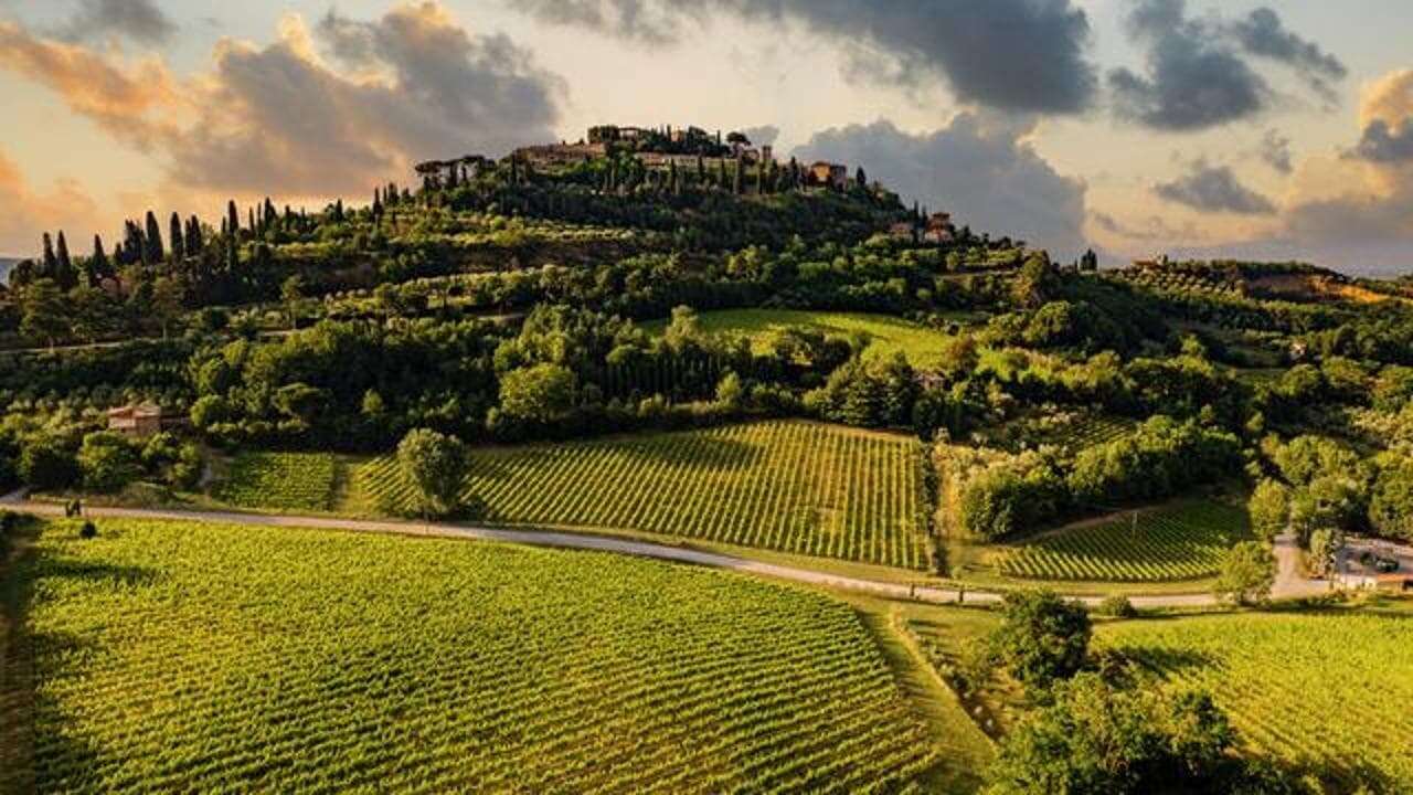 Nobile di Montepulciano, nuova annata a 5 stelle: ecco i dieci vini da non perdere