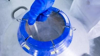 Posticipare la maternità: in Puglia contributo per le donne che scelgono di “congelare” gli ovociti