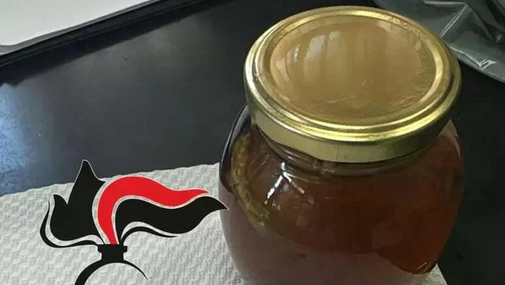 Miele ‘da sballo’ o wax, che cos’è la droga che mette a rischio la vita dei ragazzi