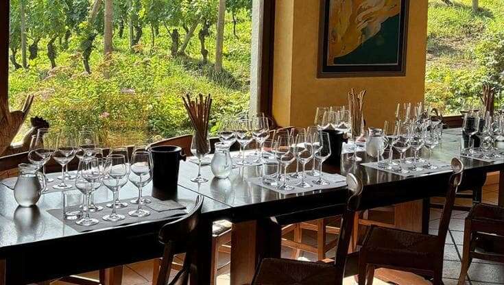 Tra le colline di Langhe e Monferrato una giovane cantina nata dalla passione