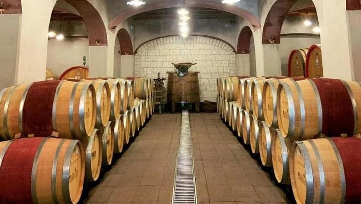 Nell’Alta Irpinia un moderno progetto di viticoltura eroica