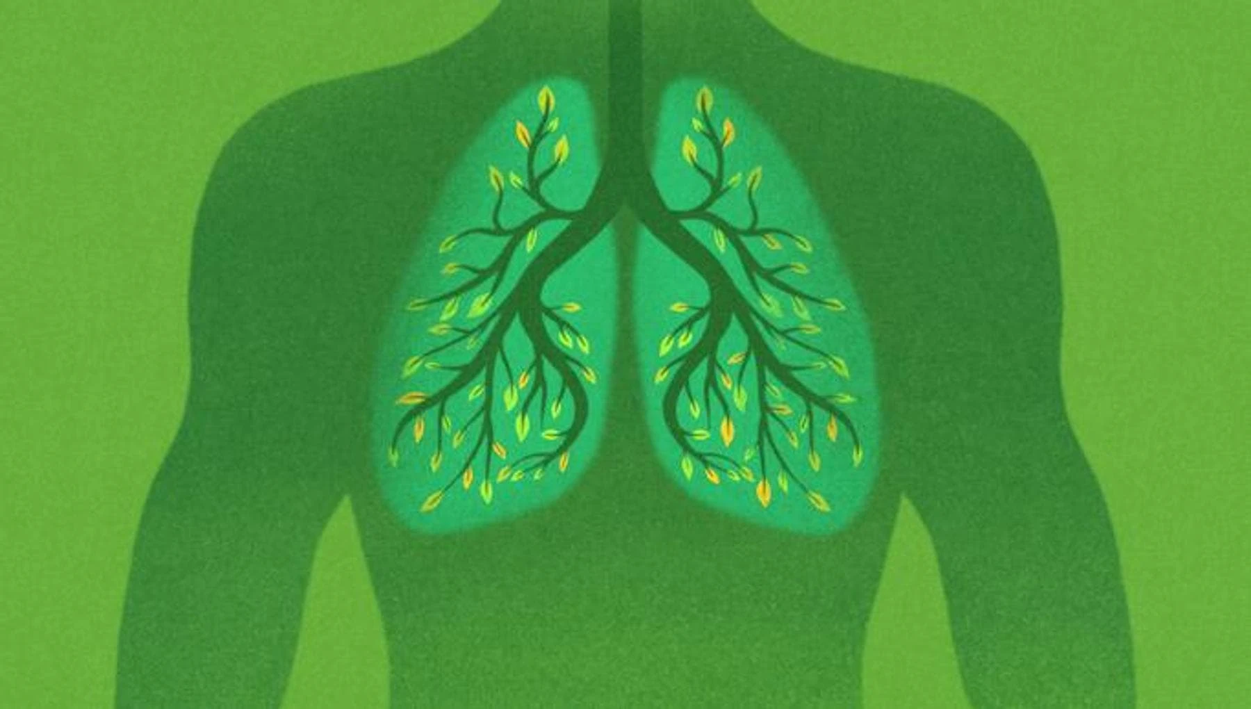 Una cura per i polmoni, un respiro per il pianeta: arriva terapia inalatoria con propellente green