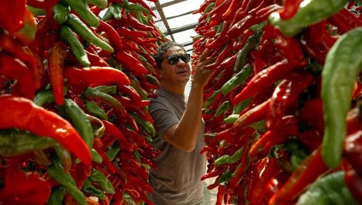 La tradizione italiana conquista sempre di più Londra: il nuovo locale di Francesco Mazzei