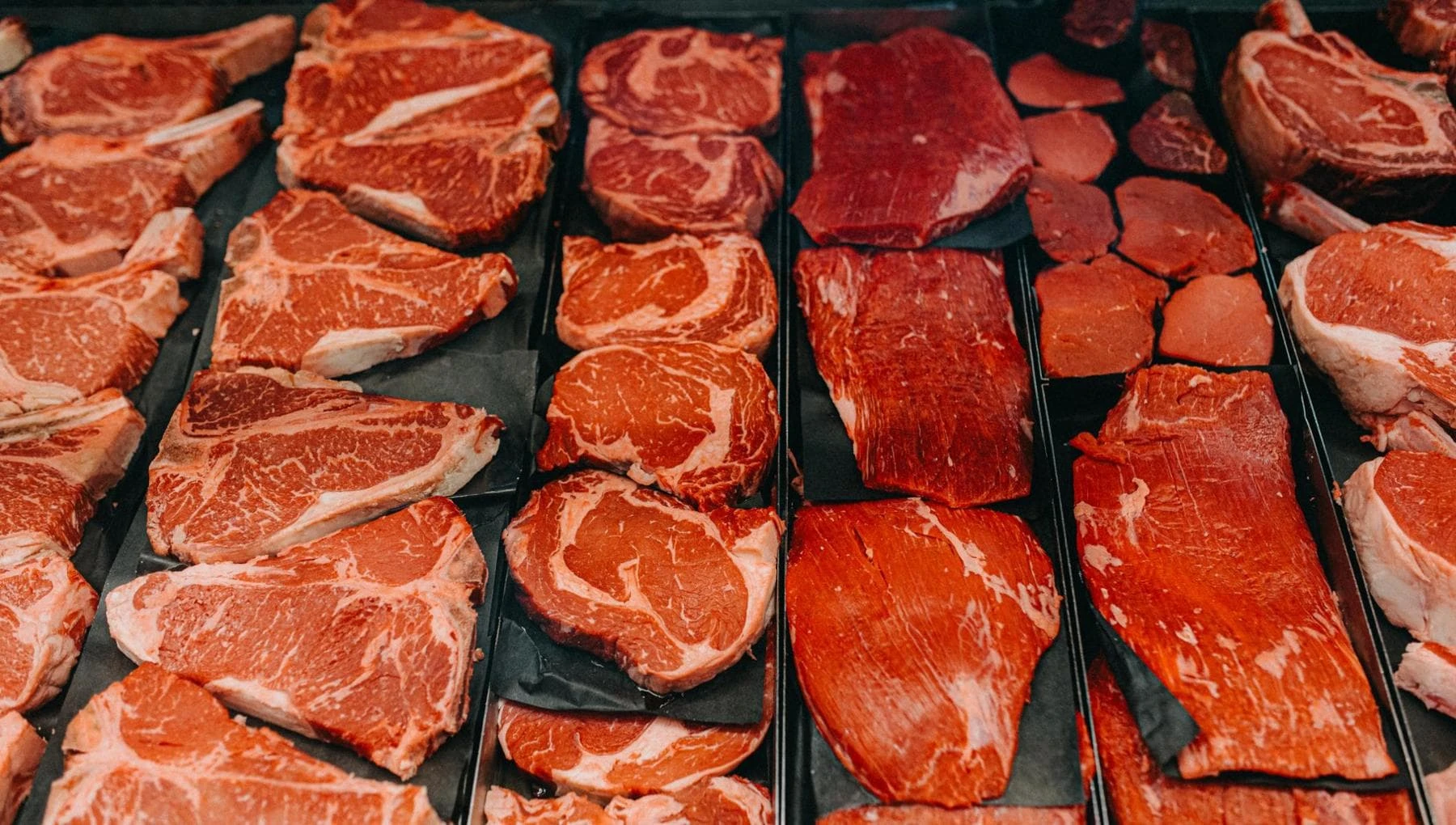 Dieta carnivora bocciata: dannosa per arterie, microbiota e tumori