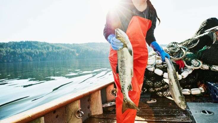 L’avventurosa pesca dei salmoni nelle selvagge terre d’Alaska