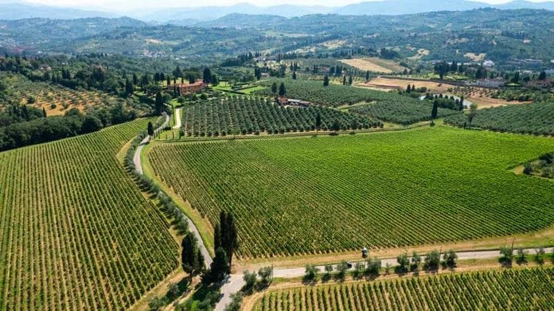 Vini, non più Toscano ma “Toscana Igt”. E via libera agli spumanti