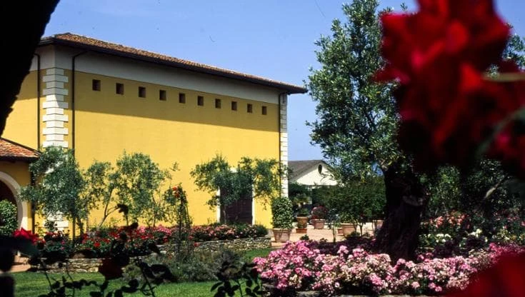 Vino e natura: in Calabria da Statti, sulle tracce del Mantonico