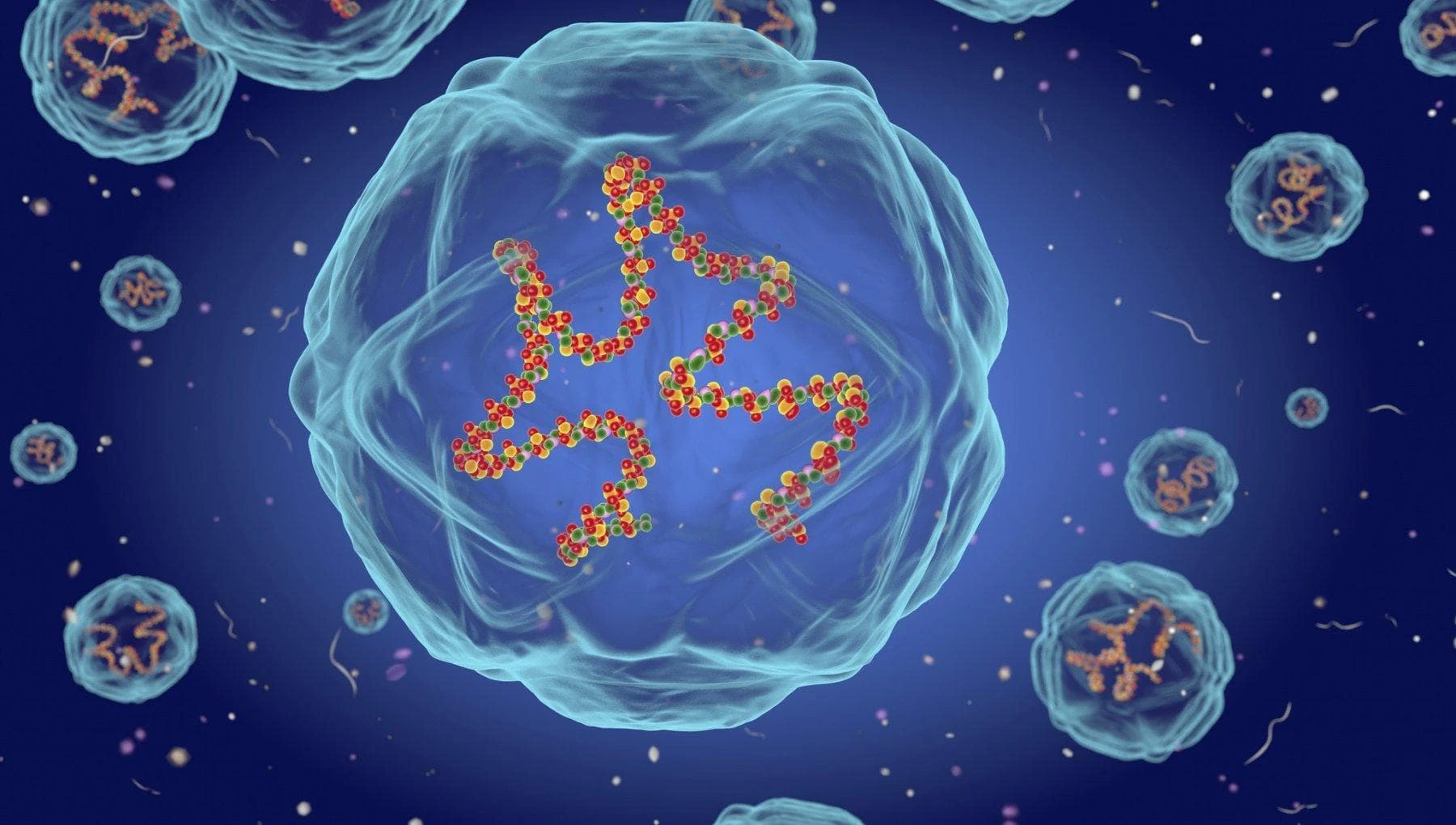 Virus Respiratorio Sinciziale, nei casi seri può crescere il rischio infarto (e non solo)