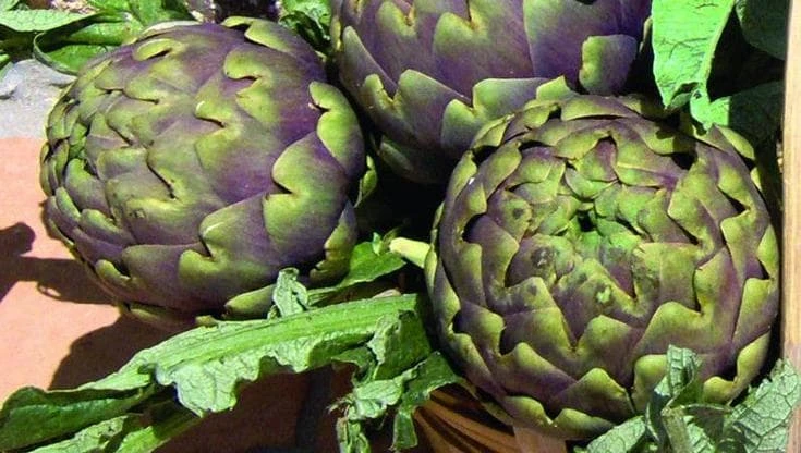 Formaggi, olio e carciofi: una settimana per assaggiare il Made in Italy