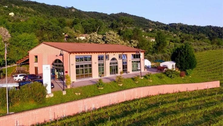 Alle porte dei Colli Berici, i vini potenti dell'azienda Le Pignole