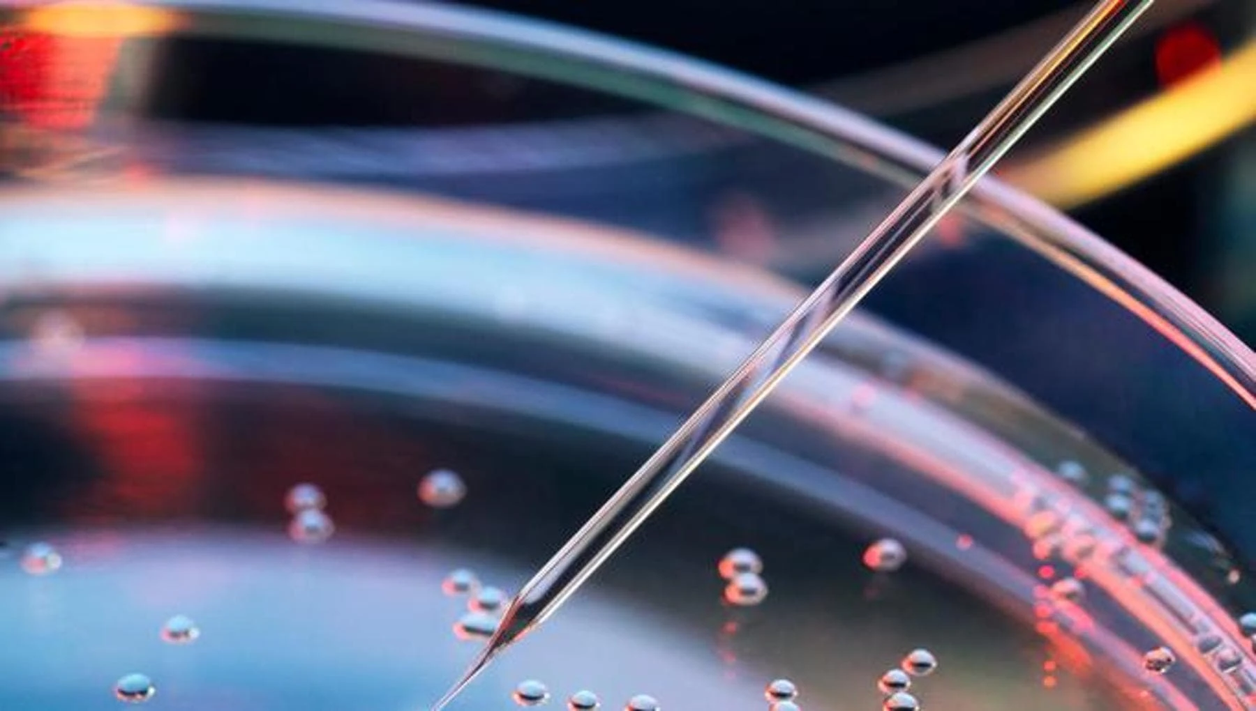 Tumori: aggiornare subito i Lea per garantire test molecolari a 87.000 pazienti ogni anno