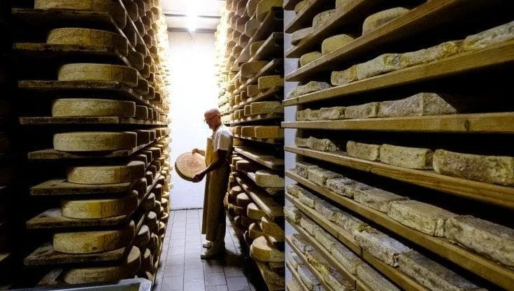 Bergamo, viaggio nella Cheese Valley: nove formaggi custodie di storie e tradizioni