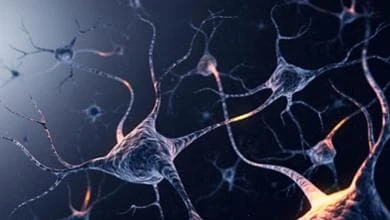 Luci puntate sulla sclerosi multipla pediatrica