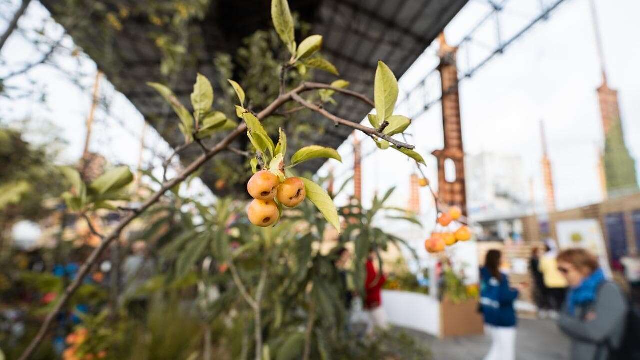 La biodinamica compie 100 anni, il grido d’allarme: “L’agricoltura industriale ci sta avvelenando”