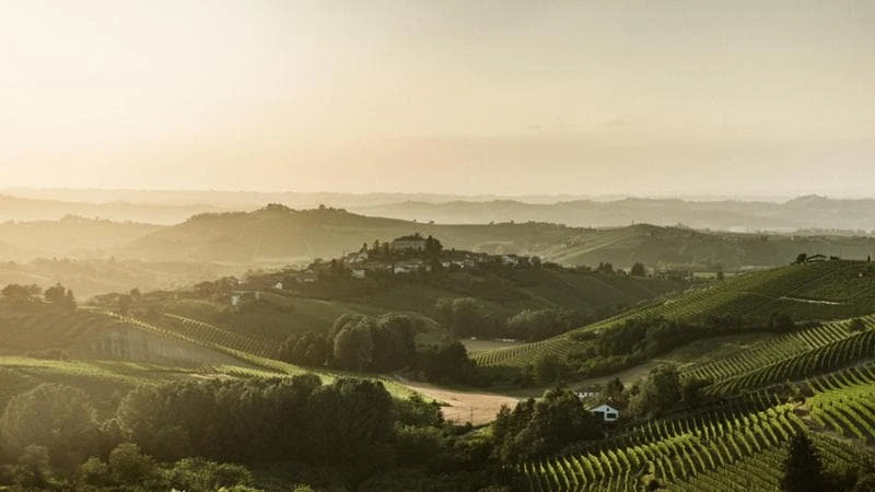 L’Asti Docg corre ai ripari: meno bottiglie prodotte contro la crisi e i dazi americani