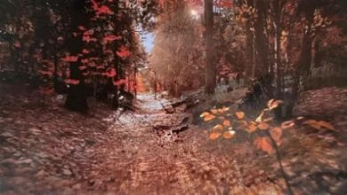Passeggiare dentro “Le quattro stagioni” di Vivaldi durante la chemio. Con la realtà virtuale