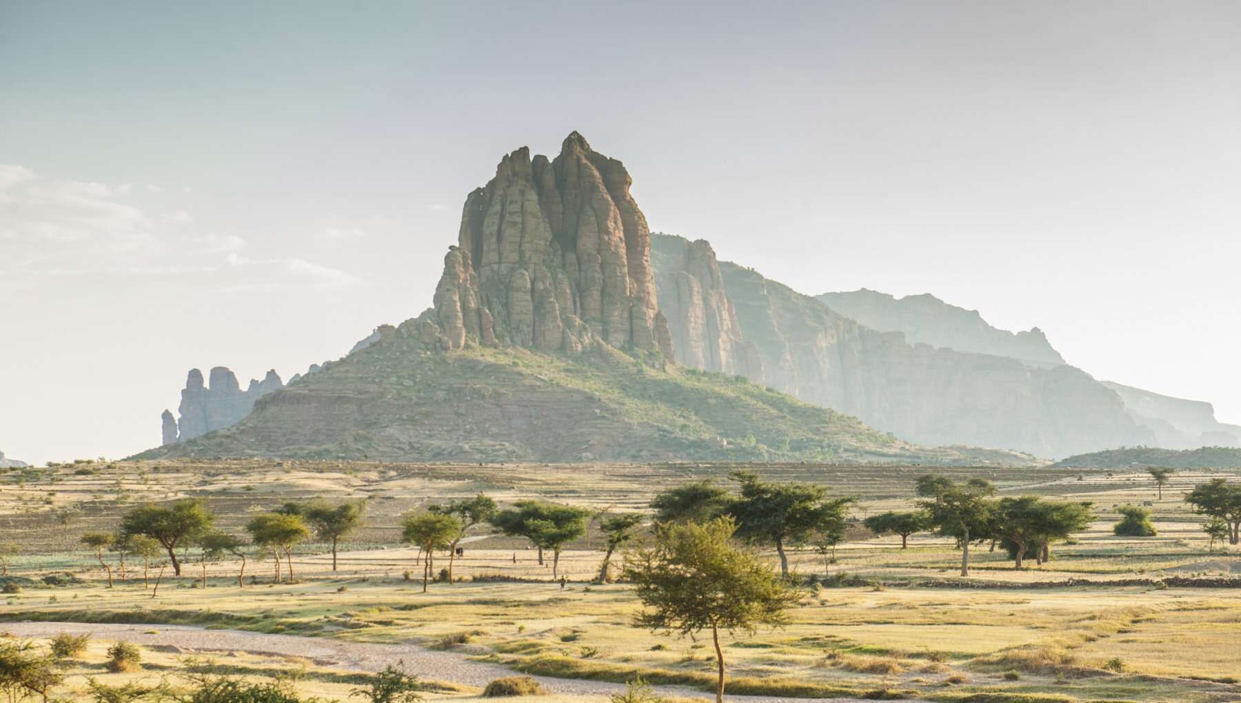 Viaggio in Africa: devo fare il richiamo del vaccino per la meningite?