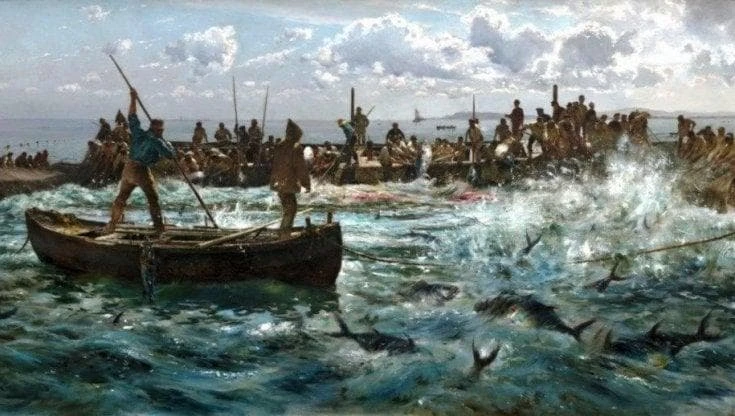 Mattanza, quel rito antico che racconta il Mediterraneo