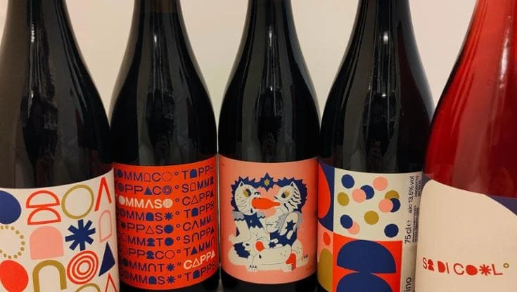 Tommaso, Agnese e il sogno della vigna coronato a Dogliani