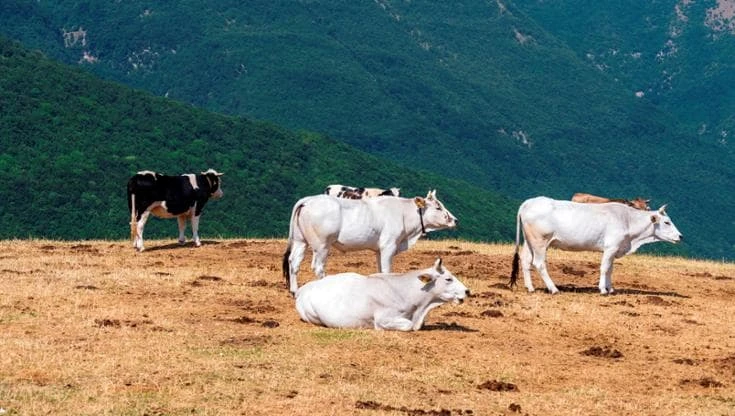 Piccoli borghi, musica e tradizioni: così l’Appennino racconta la sua essenza