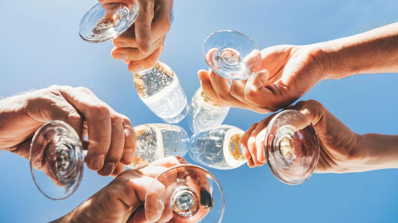Da alcol a zucchero, un dizionario per capire meglio i vini dealcolati