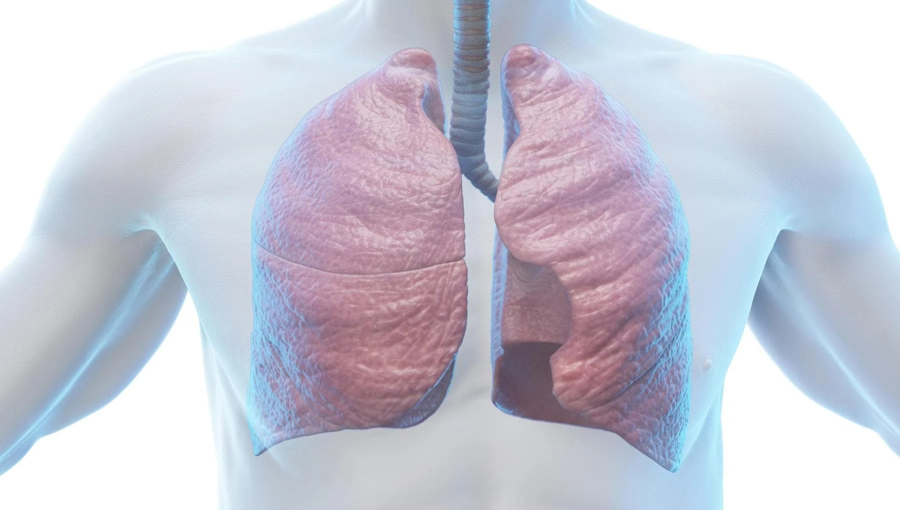 Fibrosi cistica: “A che serve avere i farmaci se i pazienti non possono usufruirne?”