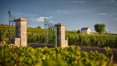 Il vino secondo la Rossa: nasce la Michelin dei vini