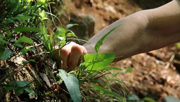 L’erba del vicino... è più gustosa: cinque piatti da provare