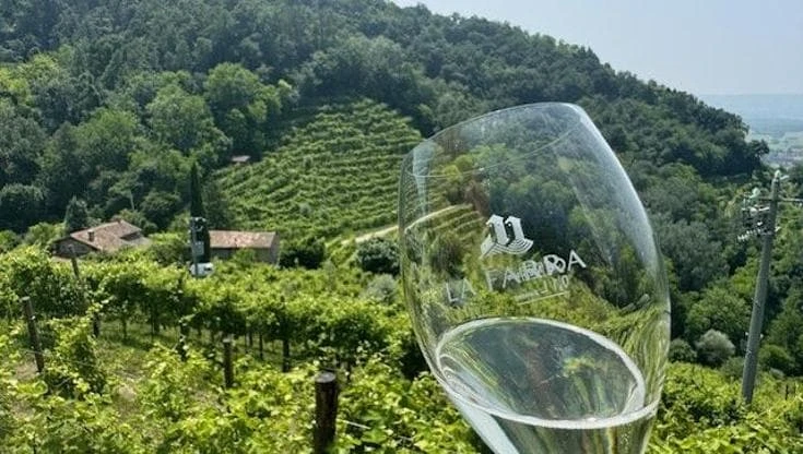 Prosecco superiore Docg Conegliano Valdobbiadene: in un bicchiere il patrimonio delle colline Unesco