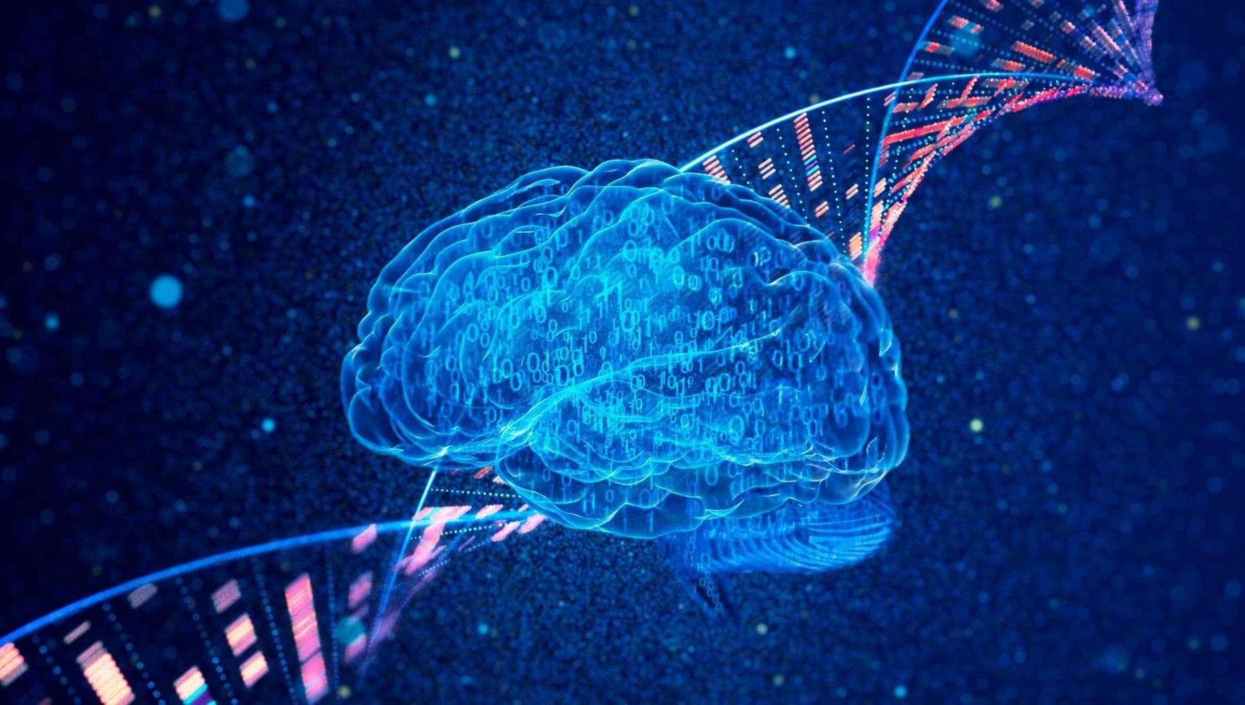 Alzheimer, studio italiano scopre ruolo proteina chiave e apre nuove prospettive per terapie e diagnosi