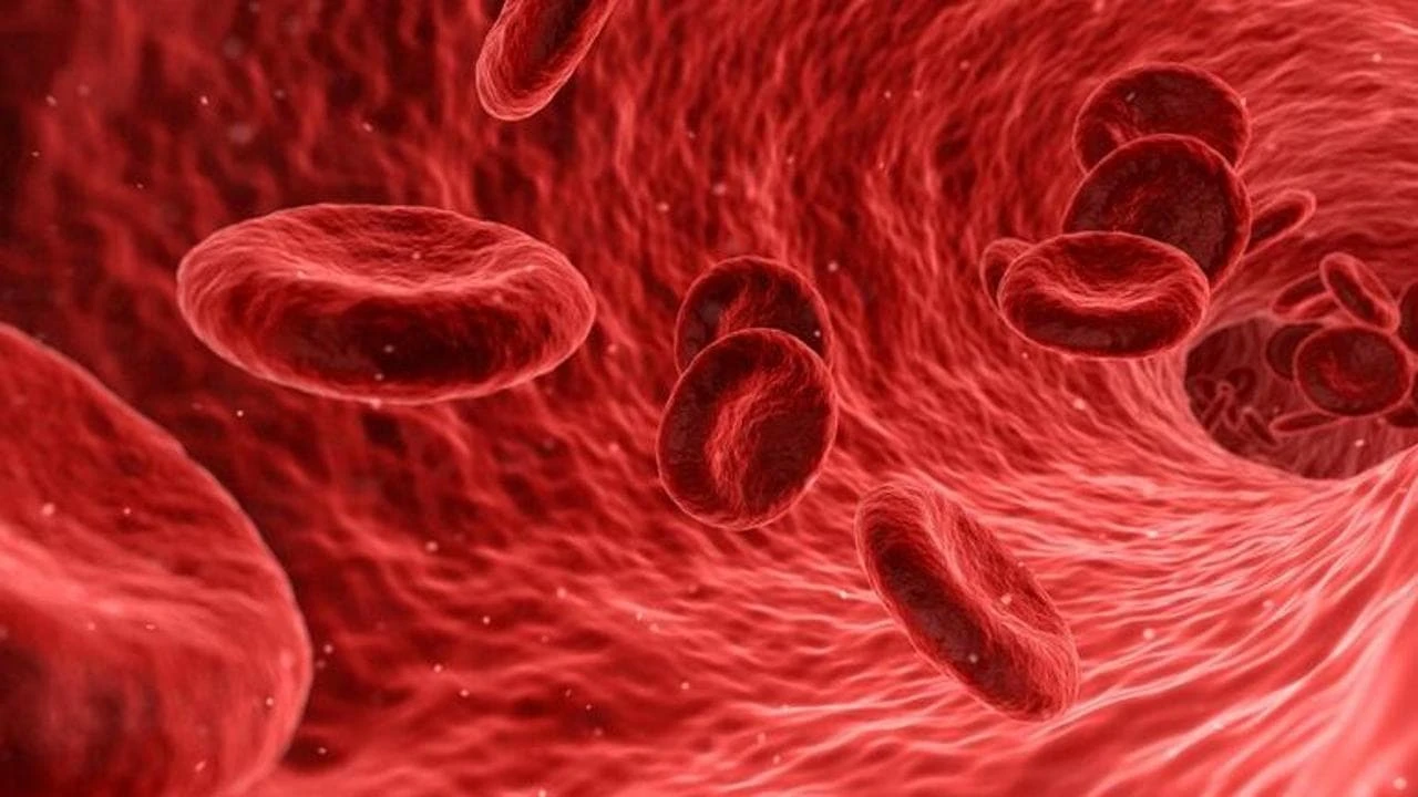 Colesterolo, per farlo scendere basta silenziare un gene
