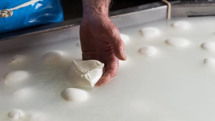 La guerra fa aumentare i prezzi: mozzarella dop verso il rialzo dei listini