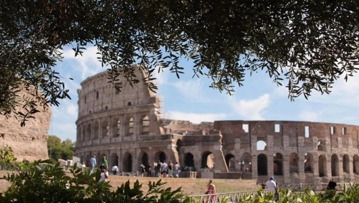 Così l’Italia dell’olio conquista il mondo