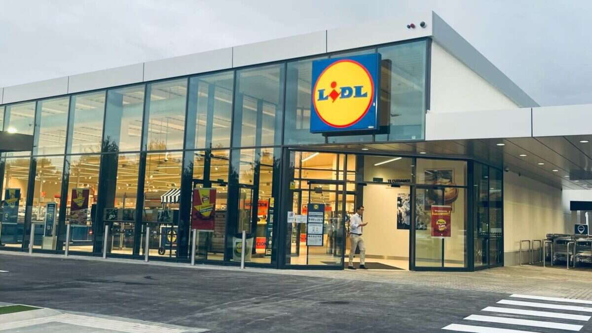 Lidl y Aldi mantienen la presión por estar en el podio de ventas y sumarán 1.100 tiendas a final de año