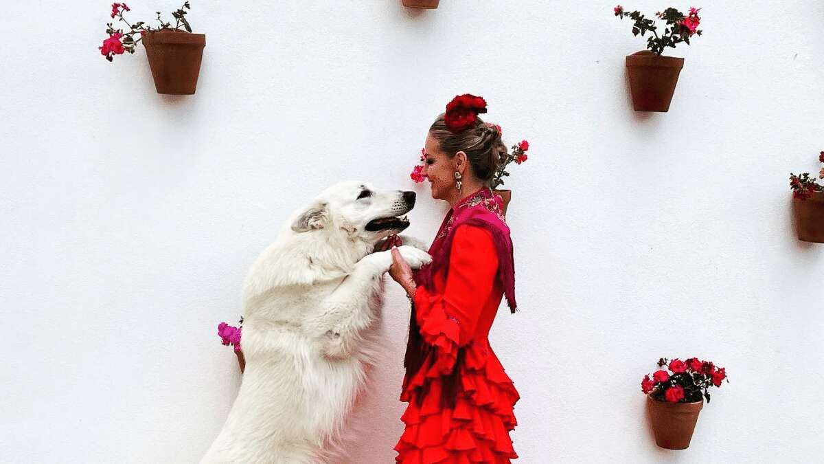 Eugenia Martínez de Irujo y sus cerdos, Jorge Javier y sus perros... el inesperado zoo de los famosos