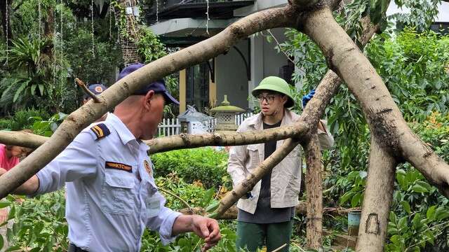 Xuân Bắc cùng 2 con trai đi dọn dẹp khu phố sau bão Yagi, Bi Béo 