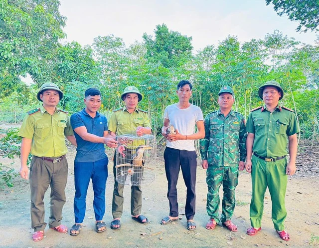 Chim lạ bay vào nhà, người dân Quảng Trị lập tức báo chính quyền - hóa ra là “báu vật” của rừng xanh