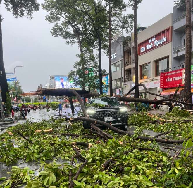 TPHCM: Cây gãy rơi đè ô tô, nhà tốc mái, rạp cưới bị thổi bay trong mưa giông