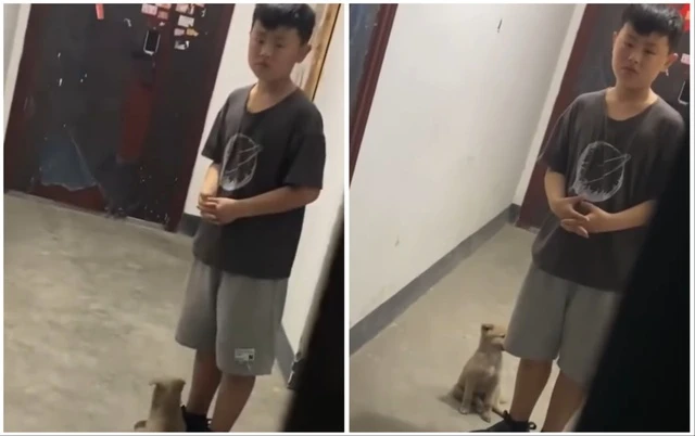 Cậu bé đi chơi về, đứng ở cửa cả buổi nhưng không dám vào nhà, nhìn sinh vật dưới chân mà mẹ giật mình