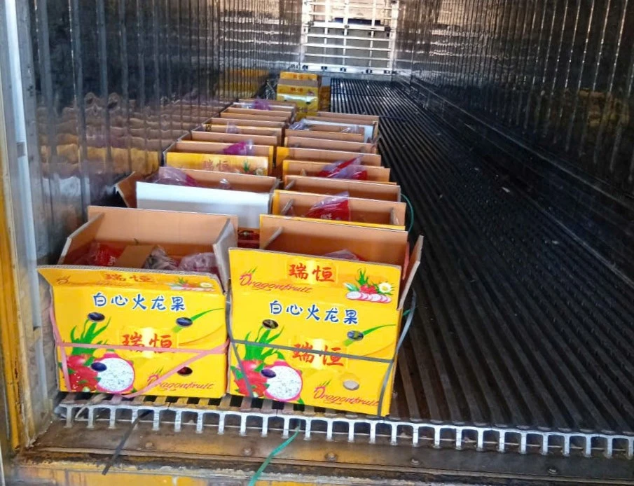 Nhiều tài xế container tố bị “bẫy” khi chở thanh long sang cửa khẩu