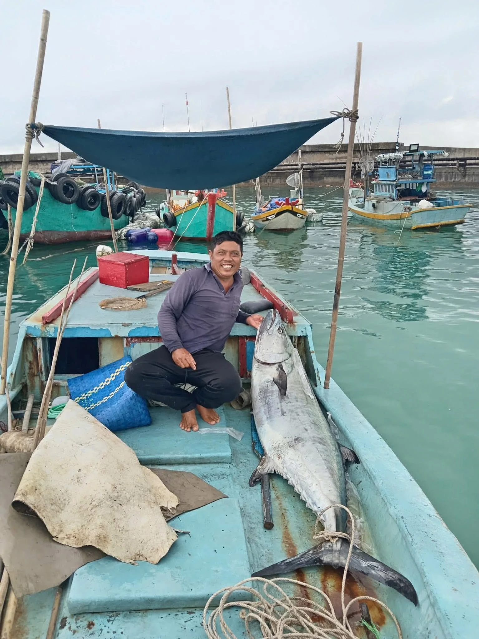 Một mình vật lộn giữa biển Phú Quý câu được 