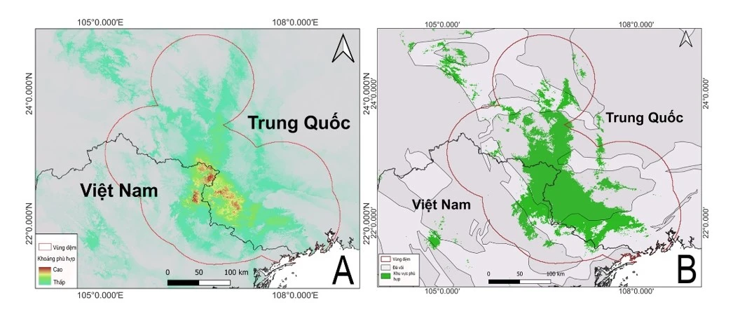 “Báu vật” quý hiếm tại Việt Nam: Thế giới chỉ 2 nước có, đứng trước bờ vực tuyệt chủng