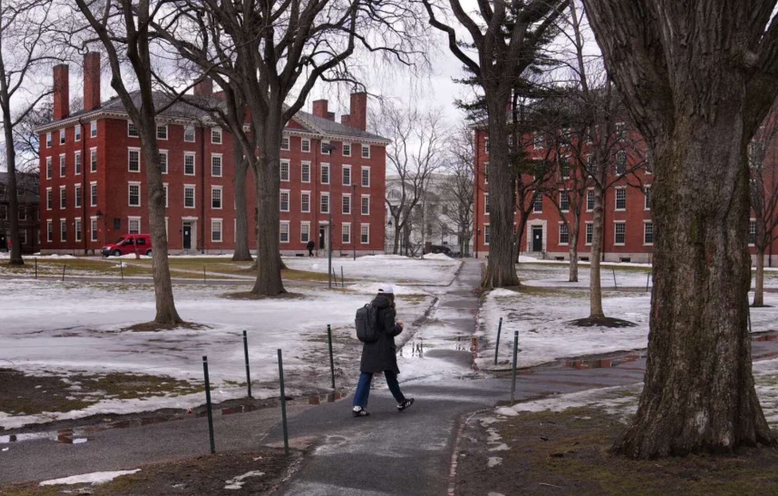 Nóng: Đại học Harvard sẽ miễn học phí cho sinh viên từ gia đình thu nhập dưới 5 tỷ đồng/năm