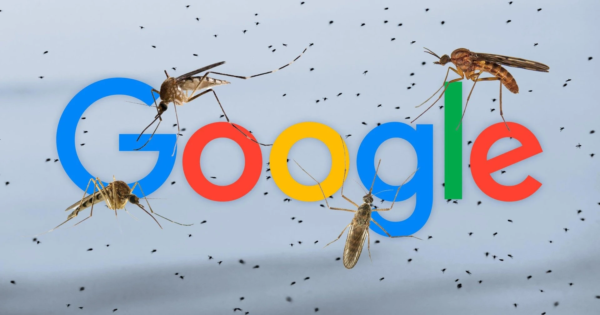 Google muốn thả 32 triệu con muỗi “công nghệ” về rừng: Mục tiêu là gì?