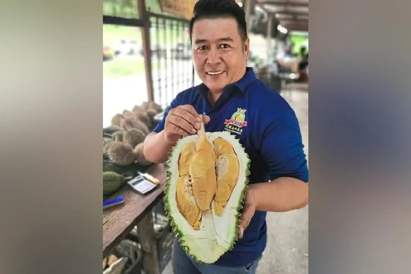 Giống sầu riêng có màu như bị mốc nhưng hương vị gây 