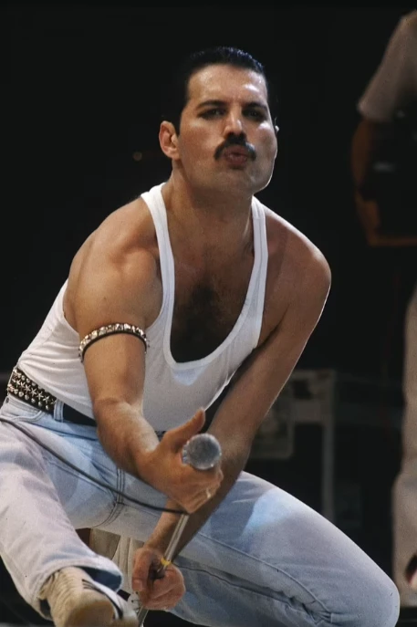 17 cuốn nhật ký bí mật của Freddie Mercury sẽ được công bố