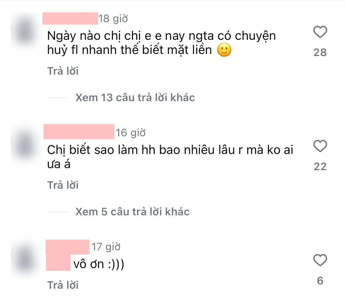 Hoa hậu Việt bị 